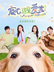 宠他,还是爱我? 封面