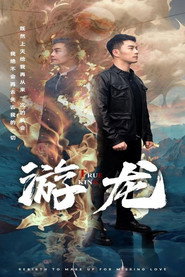 游龙 封面