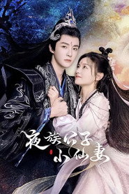 夜族公子小仙妻 封面