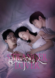 枕边陌生人 封面
