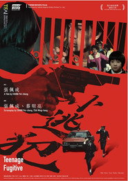 小逃犯 封面
