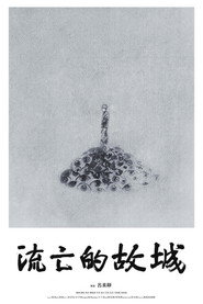 流亡的故城 封面