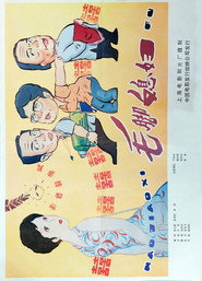 毛脚媳妇 封面