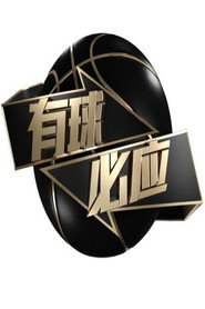 有球必应 封面