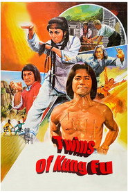 Twins of Kung Fu 封面