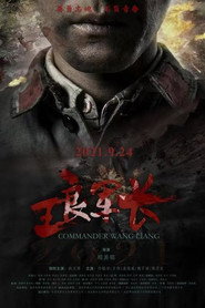 王良军长 封面