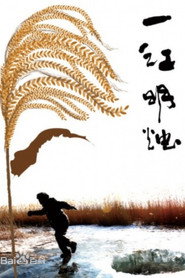 一江明烛 封面