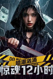 暗潮汹涌之惊魂12小时 封面