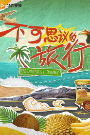 不可思议的旅行 封面
