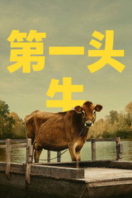 第一头牛 封面