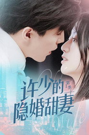 许少的隐婚甜妻 封面