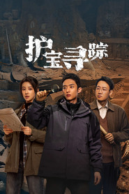 护宝寻踪 封面