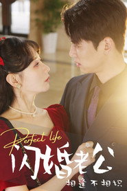 闪婚老公相逢不相识 封面