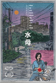 水母 封面