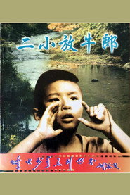 二小放牛郎 封面