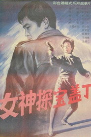 女神探宝盖丁 封面
