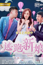 逃跑新娘2017 封面