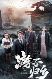 游子归乡 封面
