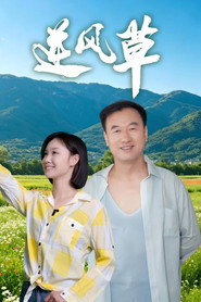 逆风草 封面