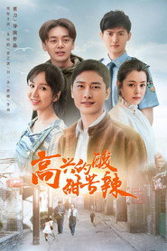 高兴的酸甜苦辣 封面