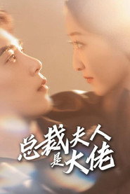 总裁夫人是大佬 封面