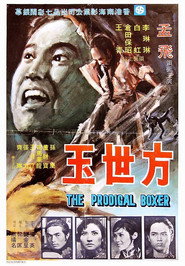 方世玉 封面