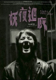 妖夜回廊 封面
