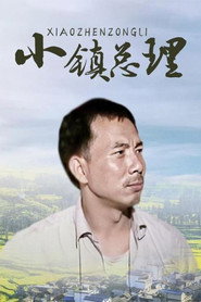 小镇总理 封面