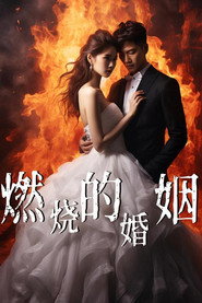 燃烧的婚姻 封面