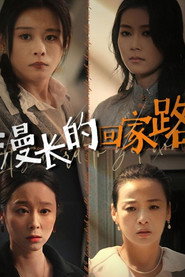 漫长的回家路 封面