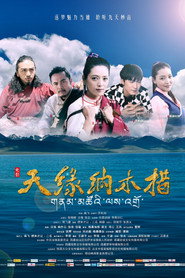 天缘纳木措 封面