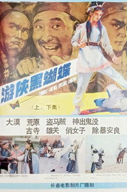 游侠黑蝴蝶 封面