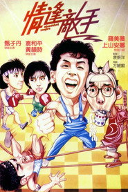 情逢敌手 封面