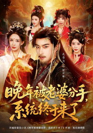 晚年被老婆分手，系统终于来了 封面