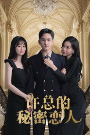 许总的秘密恋人 封面