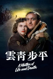 平步青云 封面