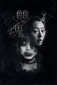 双魂 封面