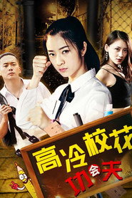 高冷校花会功夫 封面