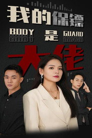 我的保镖是大佬 封面