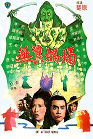 无翼蝙蝠 封面