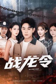 战龙令 封面