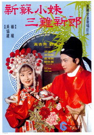 新蘇小妹三難新郎 封面