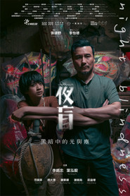 夜盲 封面