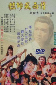 艳帅风雨情 封面