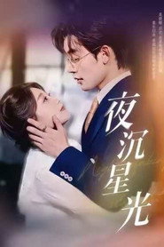 夜沉星光 封面