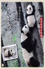 熊猫淘淘 封面