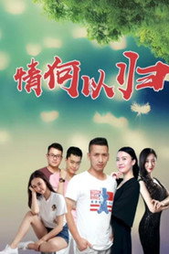 情何以归 封面