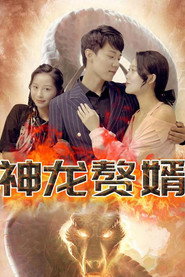 神龙赘婿 封面