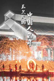 中国人的年 封面