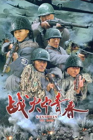 战火中青春 封面